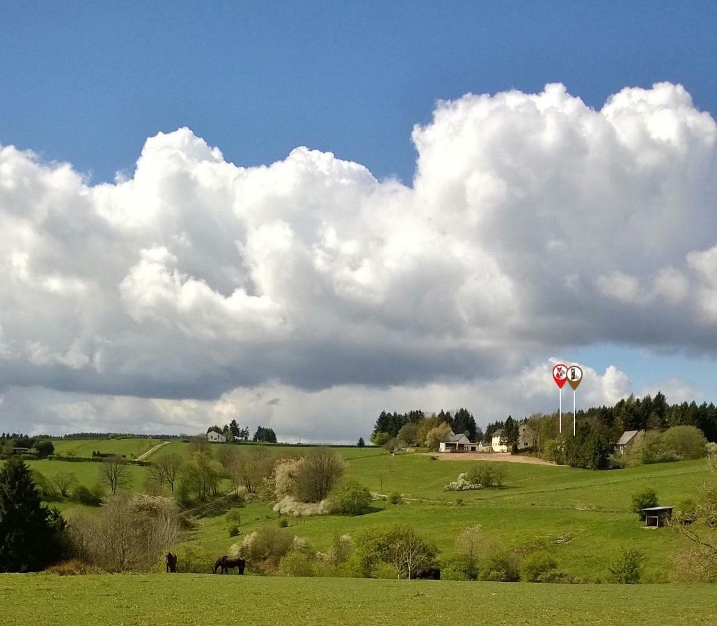 Vakantiewoning De Uil Hotel Hollerath Buitenkant foto